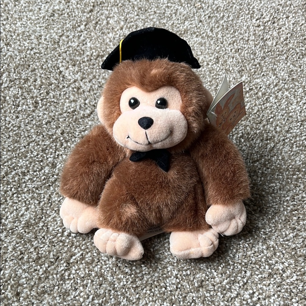 Graduation Monkey